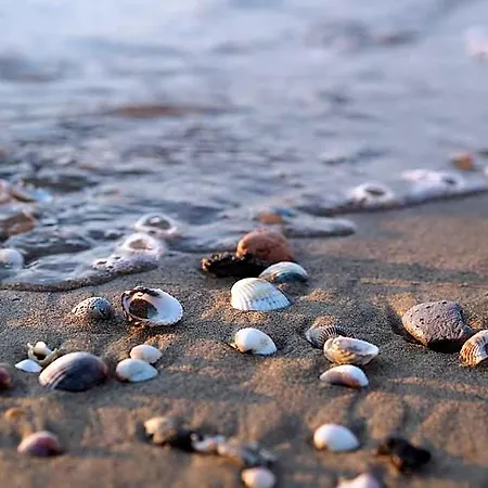 Adorable And Comfy Coastal Living By Beahost Hotel 3*